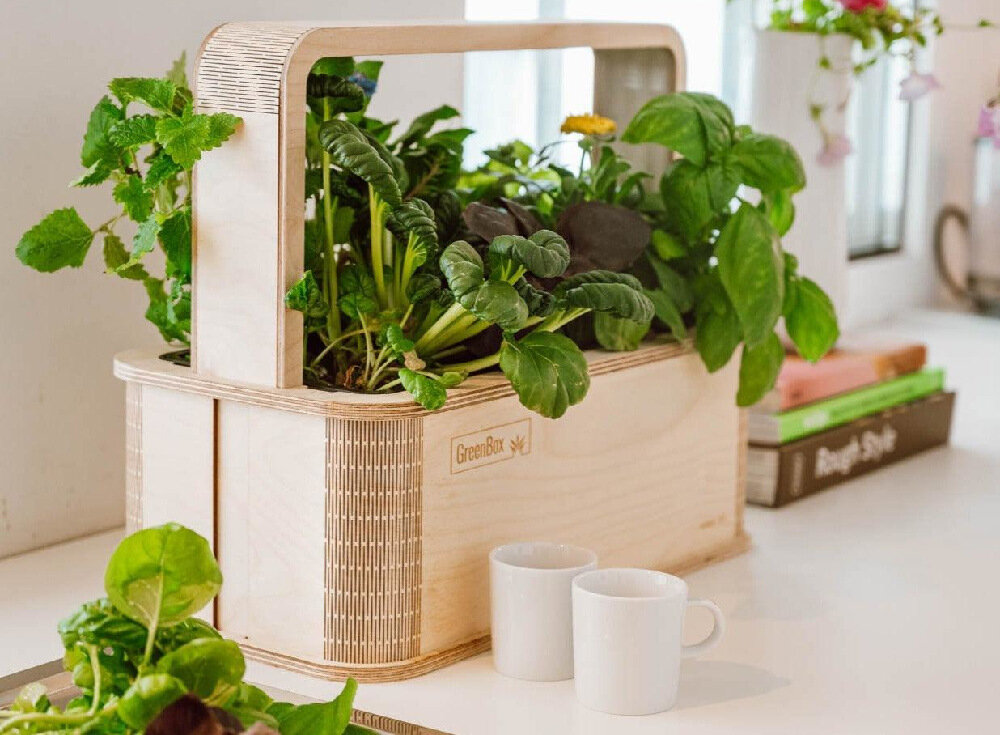 Doniczka BERLINGREEN GreenBox Great Variety Bundle Brązowy codziennie swieze zdrowe rosliny domowy ogrod