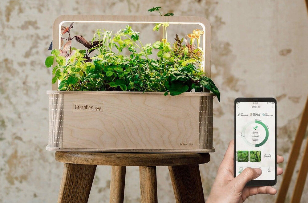 Doniczka BERLINGREEN GreenBox Great Variety Bundle Brązowy aplikacja GreenBox App na Android iOS informacje dotyczace wzrostu roslin nawadnienia gleby plena kontrola nad oswietleniem