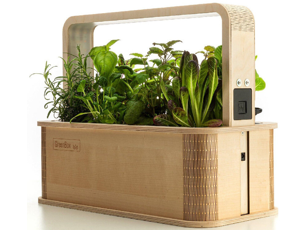 Doniczka BERLINGREEN GreenBox Great Variety Bundle Brązowy podlewanie co dwa trzy tygodnie