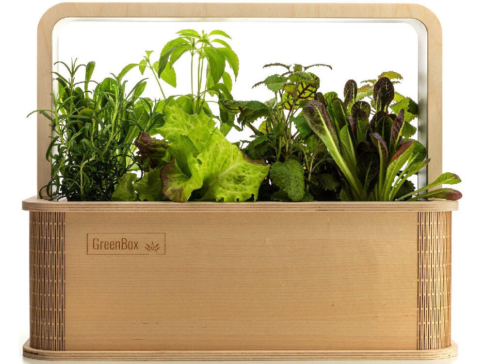 Doniczka BERLINGREEN GreenBox Great Variety Bundle Brązowy solidna konstrukcja drewno brzozowe latwe utrzymanie czystosci nie traci intensywnosci koloru