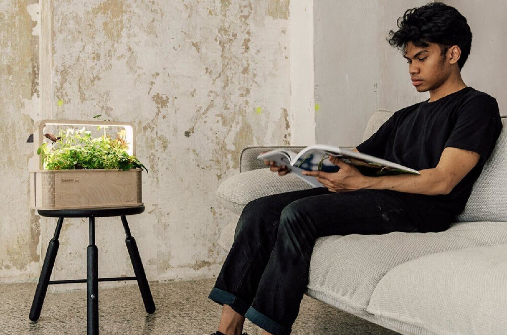 Doniczka BERLINGREEN GreenBox Great Variety Bundle Brązowy wymiary 40,5 x 21 x 34 cm do designerskich i klasycznych aranzacji