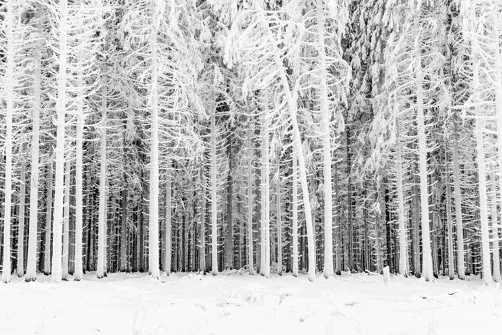 ASKO FN31842I tryb eco dostosowywanie temperatura automatycznie obniżanie zużycie energia