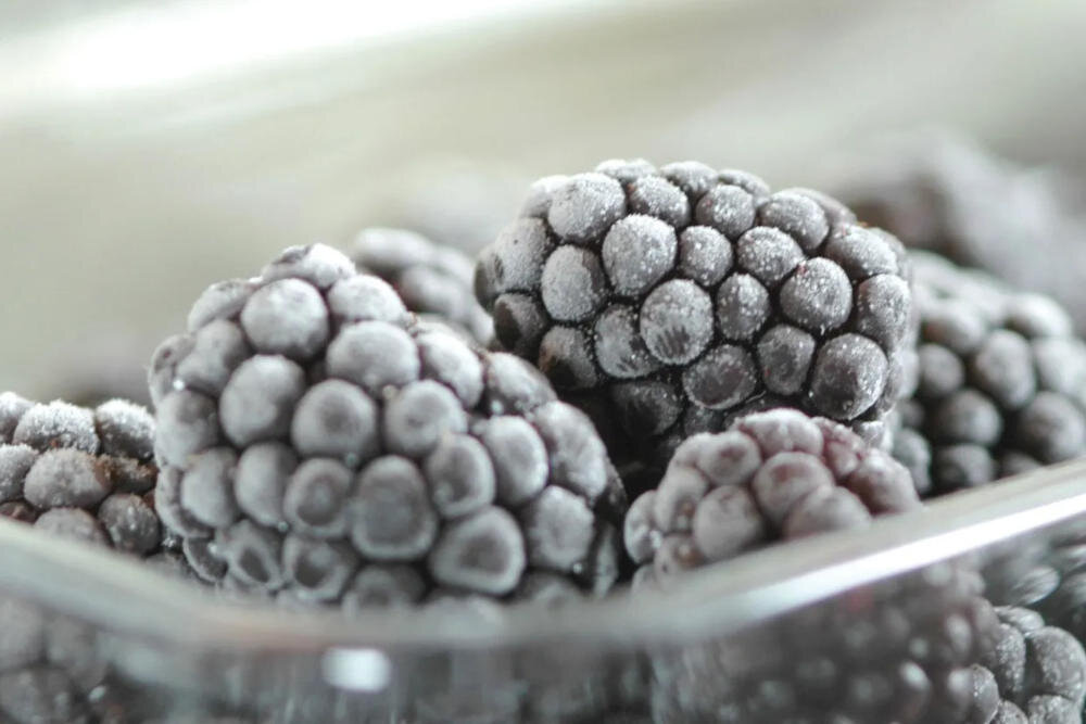 ASKO FN31842I fast freeze nadmuch powietrze zamrażarka