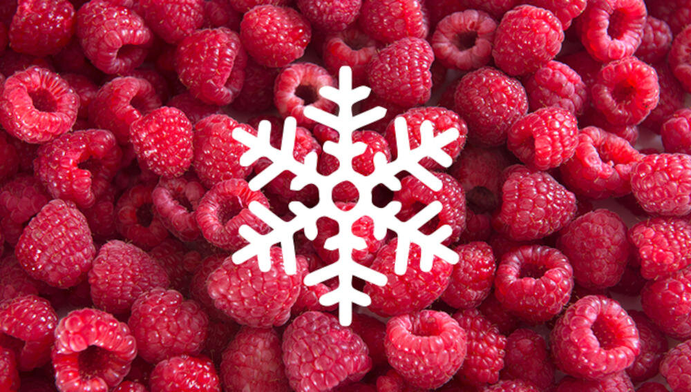 CANDY CMCH 302 EL/N mrożenie duże ilości funkcja super freeze obniżanie temperatura