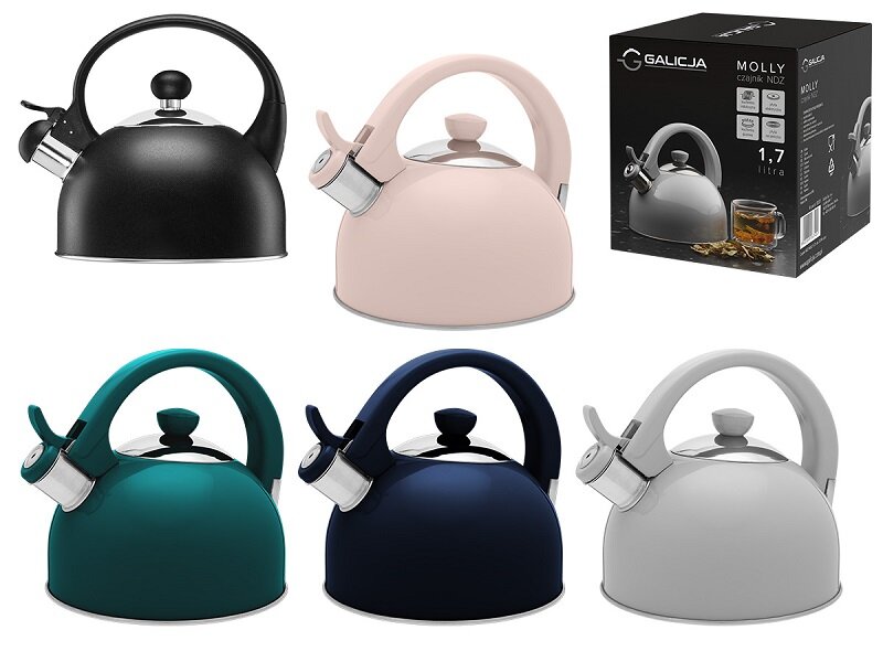 Czajnik GALICJA Molly 26741 Antracytowy wyjmowany filtr czyszczenie baza zasilanie uzytkowanie przesuwanie czajnika