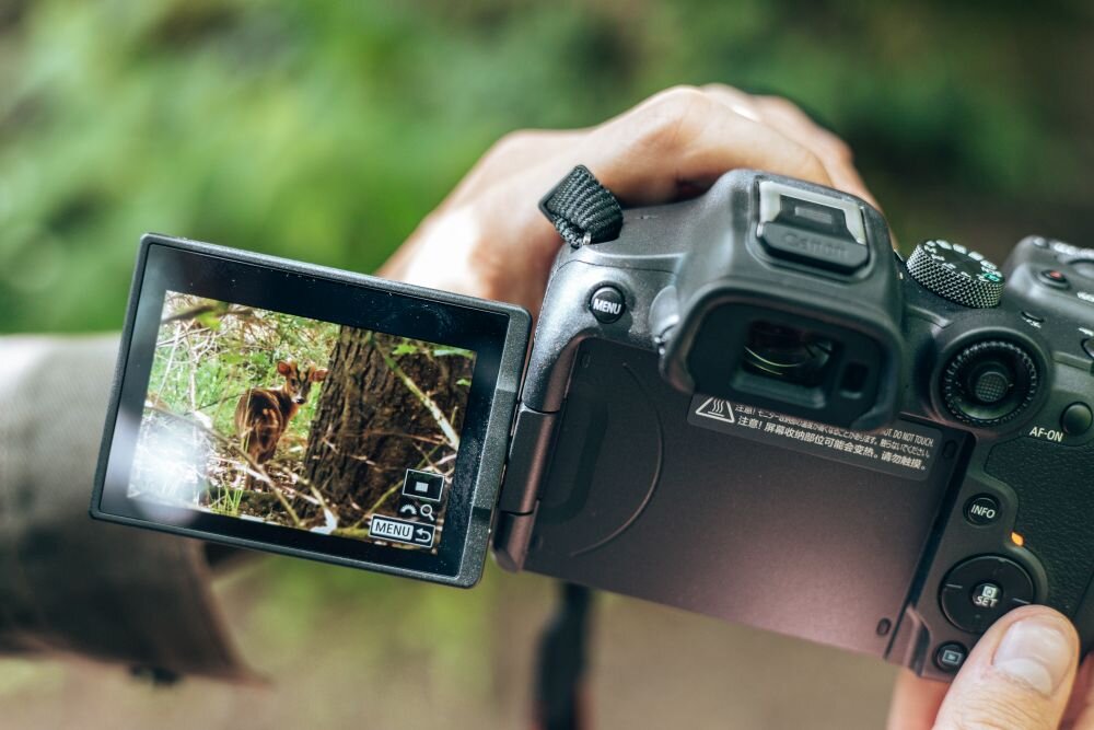 Aparat CANON EOS R7  zdjęcia obiektyw ekran wizjer ogniskowa przysłona migawka obudowa bateria zasilanie filmy nagrywanie rozdzielczość matryca rozmiar przekątna tryby iso montaż lampa światło przyciski sterowanie menu kontrast jasność balans bieli filtry cmos karta pliki format zapis seria