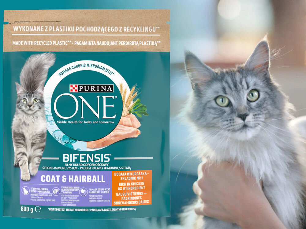 Karma dla kota PURINA ONE Coat & Hairball Kurczak 800 g witaminy zdrowie