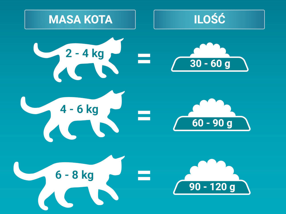 Karma dla kota PURINA ONE Coat & Hairball Kurczak 800 g sklad zywienie