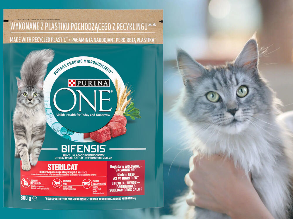 Karma dla kota PURINA ONE Sterilcat Wołowina & Pszenica 800 g witaminy zdrowie