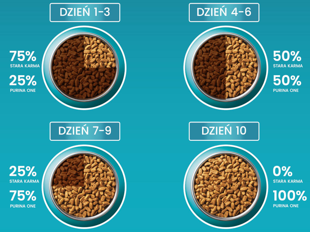 Karma dla kota PURINA ONE Senior 7+ Kurczak 800 g dodatki analiza