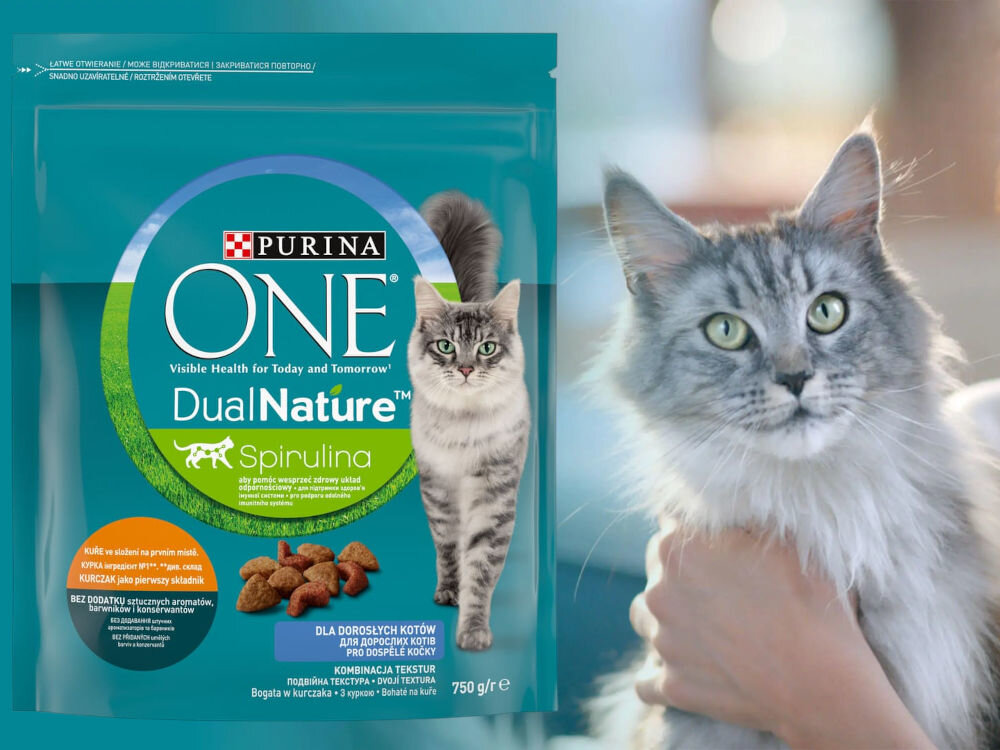 Karma dla kota PURINA ONE Dual Nature Kurczak 750 g witaminy zdrowie