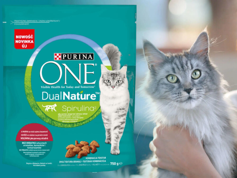 Karma dla kota PURINA ONE Dual Nature Wołowina 750 g witaminy zdrowie