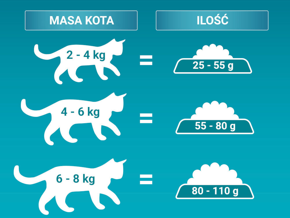 Karma dla kota PURINA ONE Dual Nature Łosoś z żurawiną 750 g sklad zywienie