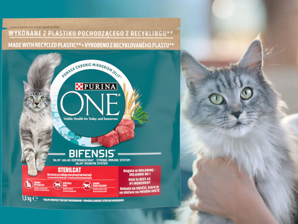 Karma dla kota PURINA ONE Bifensis Sterilcat Wołowina z pszenicą 1,5 kg witaminy zdrowie