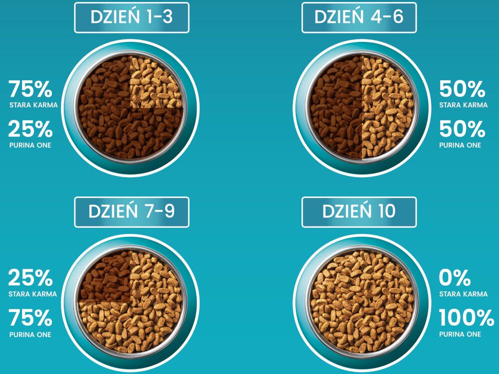 Karma dla kota PURINA One Łosoś 800 g dodatki analiza