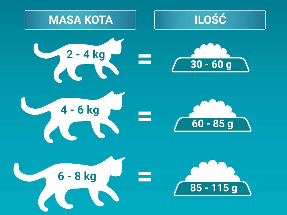 Karma dla kota PURINA One Wołowina 800 g sklad zywienie