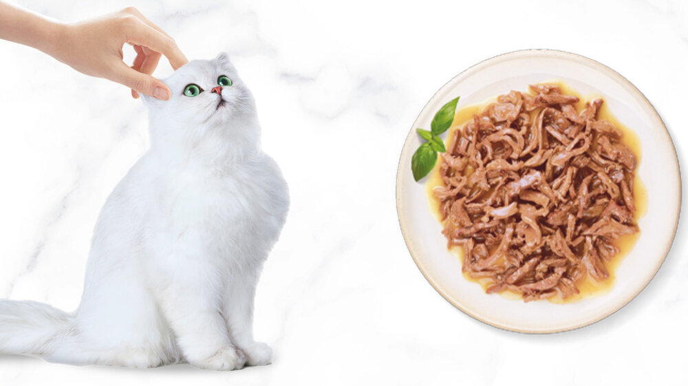 Karma dla kota GOURMET Gold Succulent Delights Kurczak 85 g nie zawiera barwników, konserwantów ani sztucznych aromatów 850 kcal/kg świadome planowanie codziennych posiłków