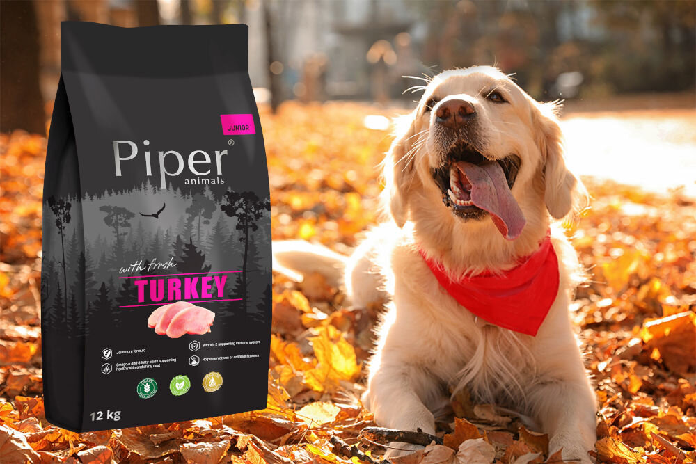 Karma dla psa PIPER Junior Indyk 12 kg dawkowanie analiza sklad
