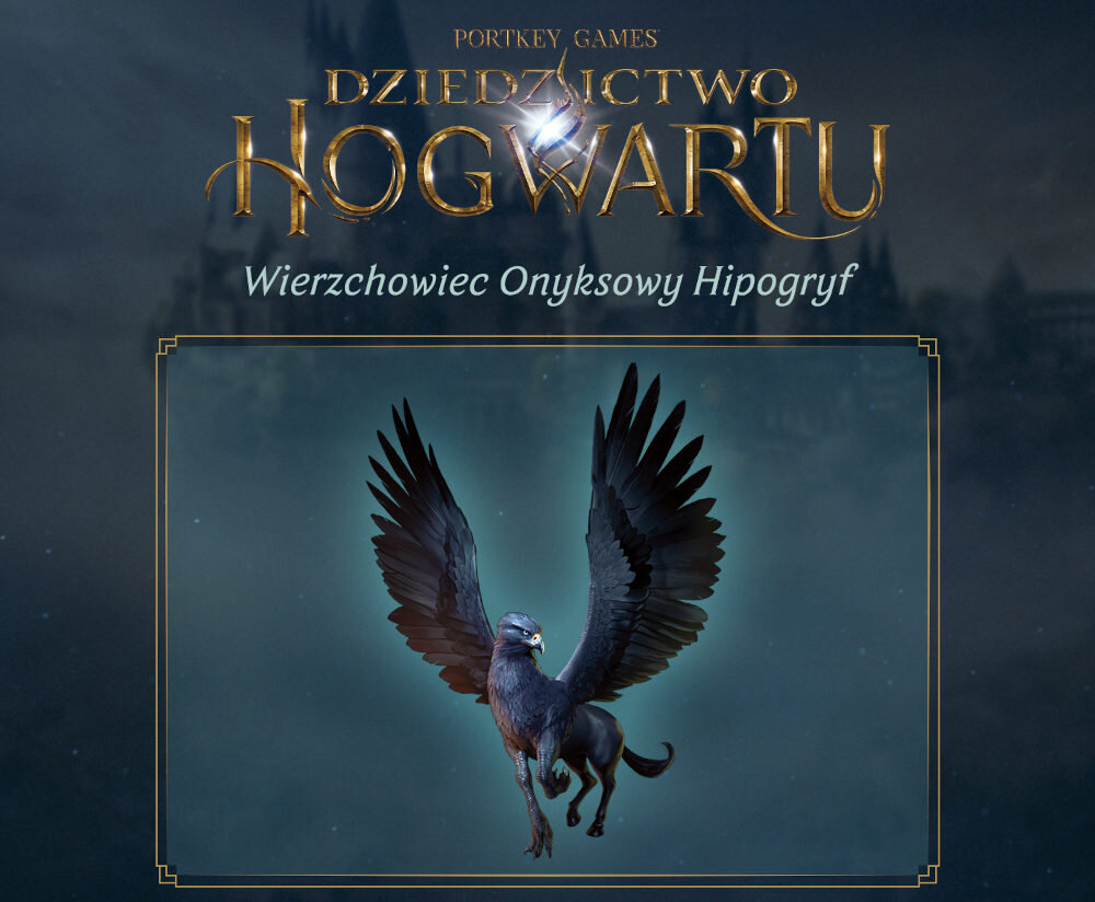 GRA Dziedzictwo Hogwartu edycja kolekcjonerska