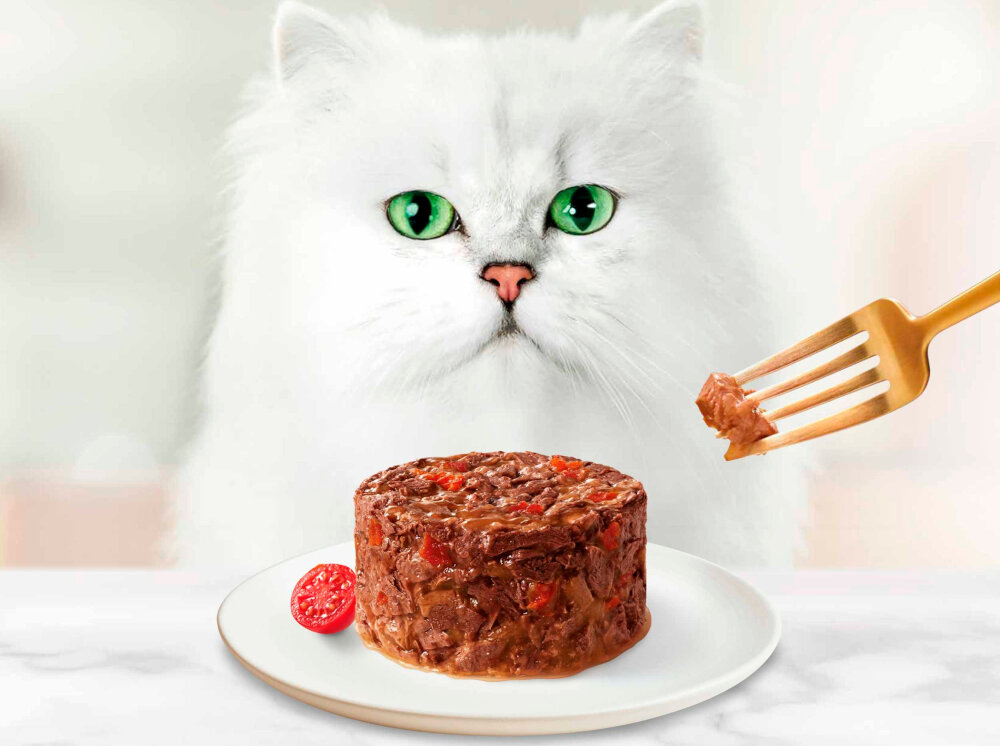 Karma dla kota GOURMET Gold Savoury Cake Wołowina z pomidorami 85 g Połączenie wołowiny i soczystych pomidorów zawiera zestaw witamin i składników mineralnych element codziennego żywienia dorosłego kota