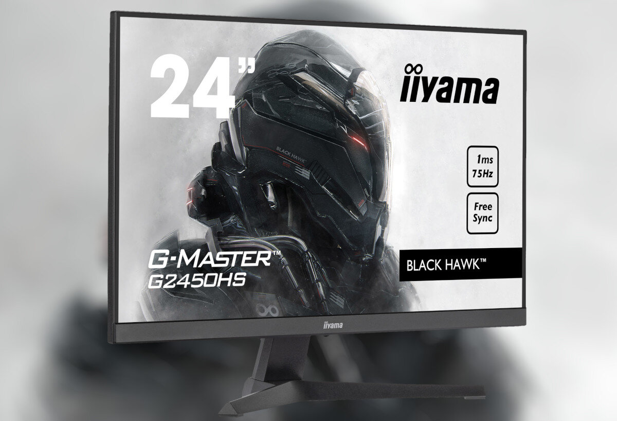 Monitor IIYAMA G-Master G2450HS-B1 ekran przekątna rozdzielczość cechy opis