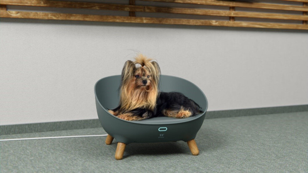 Legowisko uniwersalne TESLA Smart Pet Sofa PS300 dla kotów dla psów uniwersalne warunki pupil