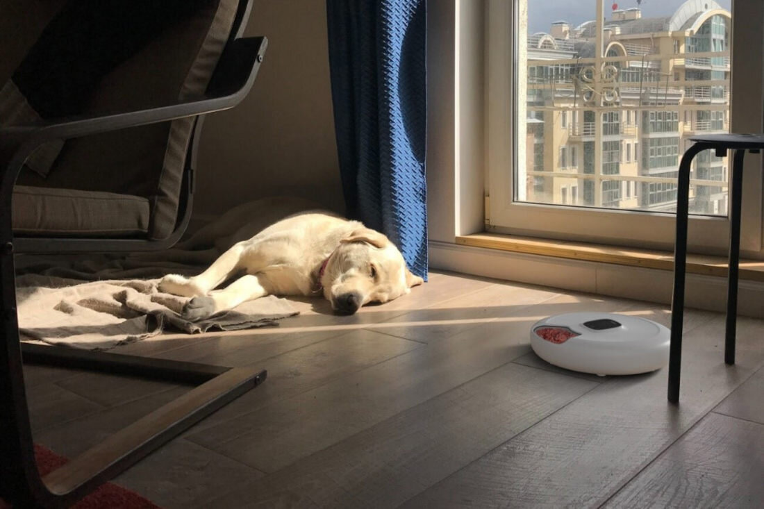 Dozownik karmy TESLA Smart Pet Feeder Spin Aplikacja TESLA Smart kontrola posiłki system dozowania