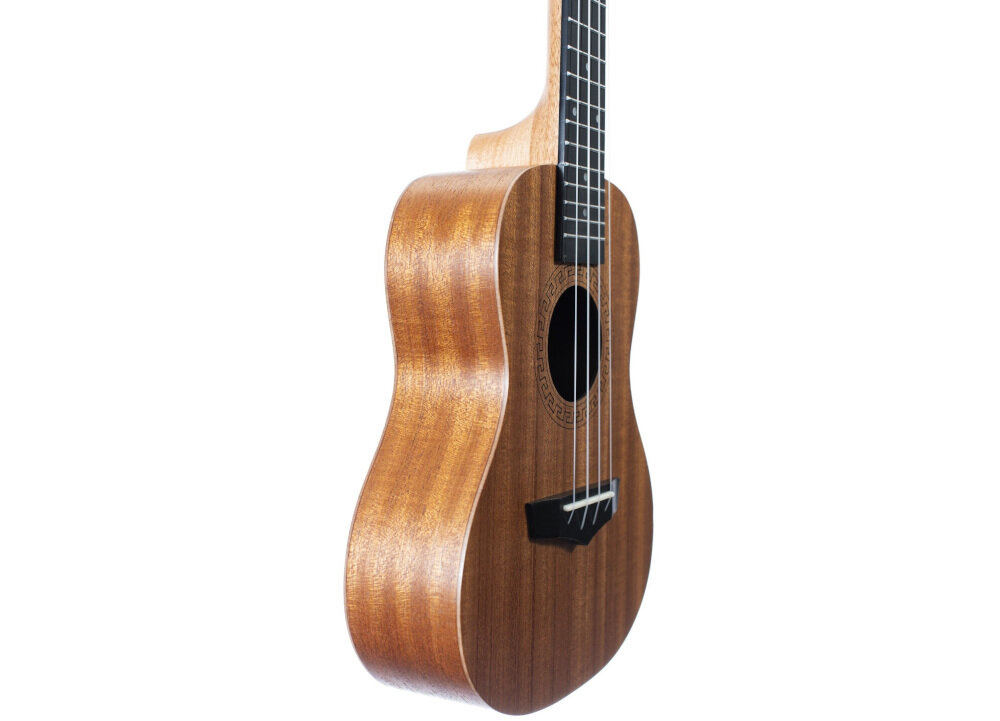Ukulele ARROW MH10 - Precyzyjny gryf