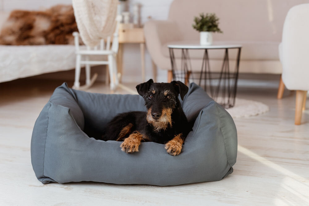 Legowisko uniwersalne YEGO DESIGN Oval Biały, mały pies (prawdopodobnie maltańczyk) leży na owalnej, poduszce (legowisku) obok żółtej gumowej zabawki-kurczaka. W tle widać ciemną sofę i białą ścianę