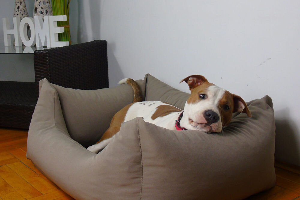 Legowisko uniwersalne YEGO DESIGN Dog Bed Zbliżenie na róg legowiska dla psa, pokazujące dokładne szycie i solidny materiał. Legowisko ma grubo wypełnione boki