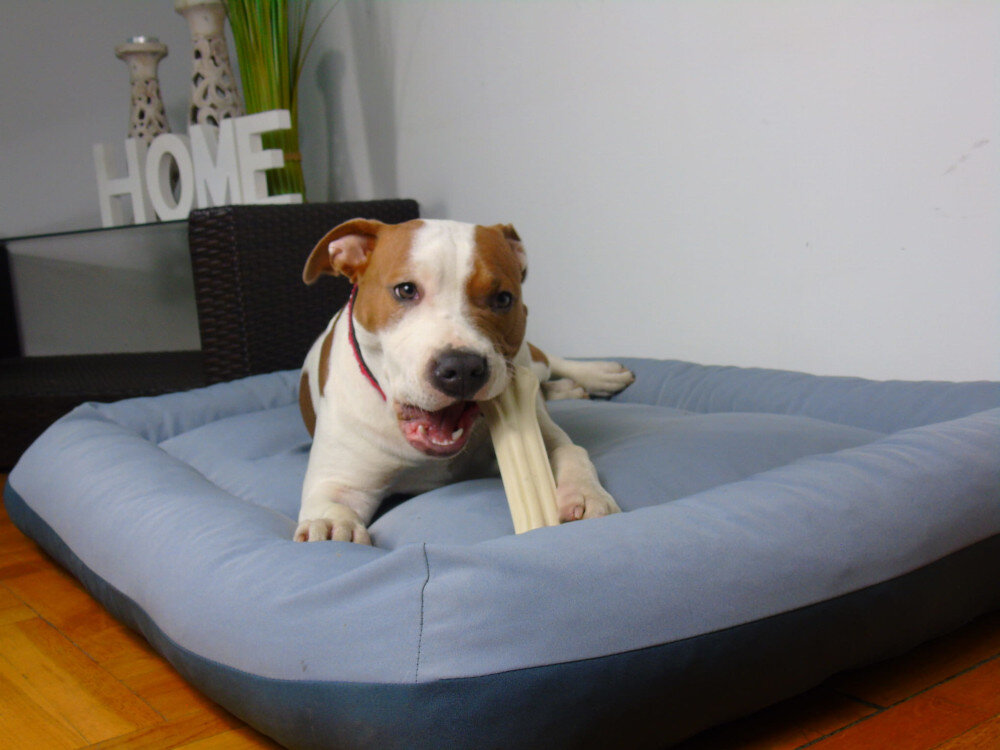 Legowisko YEGO DESIGN Niko S Srebrno-antracytowy Wygoda i komfort obfite wypełnienie pianka poliuretanowa odpoczynek relaks sen odpoczynek