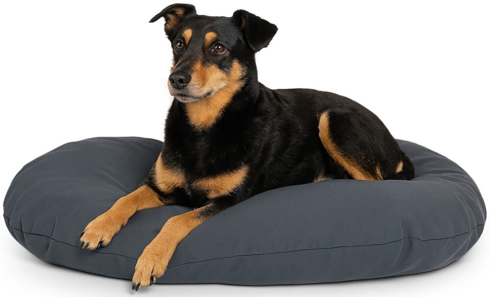 Legowisko uniwersalne YEGO DESIGN Oval Duża, owalna poduszka z widocznym szwem na środku, sfotografowana na białym tle