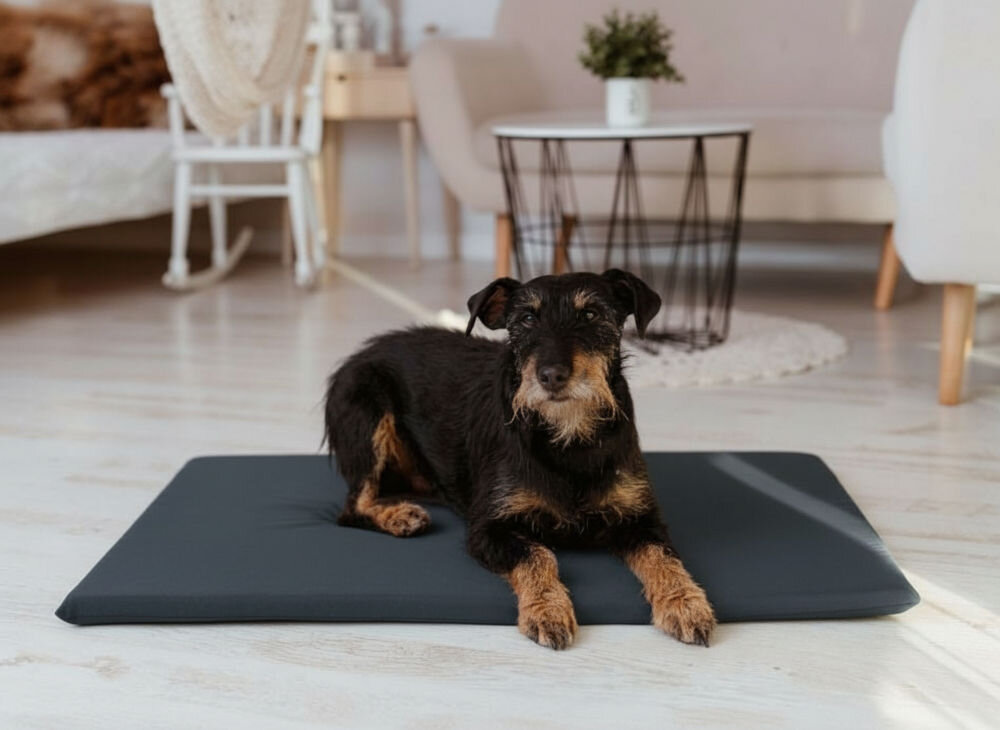 Legowisko dla psa YEGO DESIGN Rex Terier z czarno-brązowym futrem leży na prostokątnym legowisku-macie umieszczonym na jasnej, drewnianej podłodze w salonie. W tle widać meble: jasną kanapę, stolik kawowy z metalowym stelażem i białe krzesło.