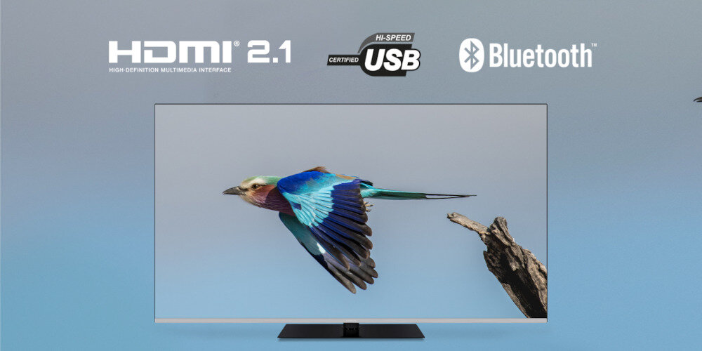 Telewizor HITACHI HAQ7450 - łączność