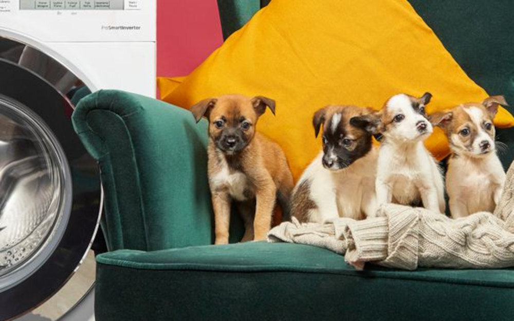 Pralka BEKO WUE8624XBWS 8kg 1200 obr Funkcja pupil