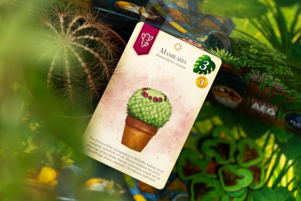 Gra karciana LUCKY DUCK GAMES Doniczki rośliny zabawa przestrzenna łamigłówka żetonu rodzina układanka