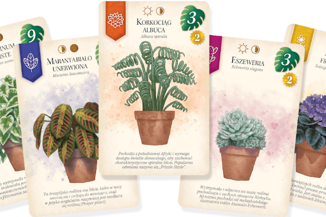 Gra karciana LUCKY DUCK GAMES Doniczki rośliny zabawa przestrzenna łamigłówka żetonu rodzina układanka