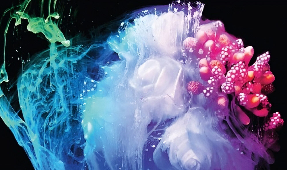 Monitor PHILIPS 27E1N8900 26.9 3840x2160px 0.1 ms technologie OLED matryca głębia czerń konstrast widoczność kąty widzenia