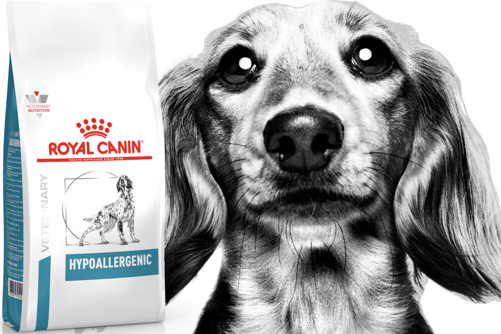 Karma dla psa ROYAL CANIN Hypoallergenic 2 kg witaminy pierwiastki aminokwasy