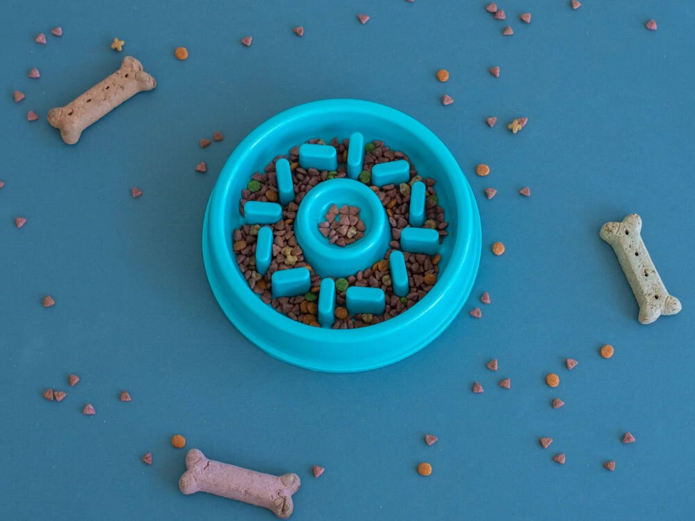 Miska spowalniająca dla psa ZIPPYPAWS Donat ZP429 Na zdjęciu znajduje się niebieska miska spowalniająca dla psa, wypełniona suchą karmą, otoczona rozsypanymi kawałkami karmy i trzema psimi ciastkami w kształcie kości. Tło jest jednolite, w kolorze niebieskim