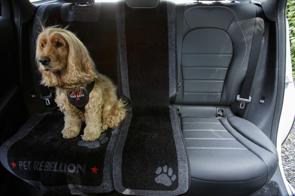 Mata PET REBELLION Slim 33 X 140 cm Czarno-szary wygląd prezentacja design wizualizacja lifestyle