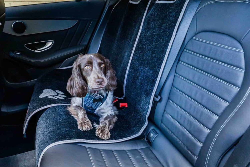 Mata PET REBELLION Slim 33 X 140 cm Czarno-szary bariera przed zabrudzeniami chroni fotel przed sierścią, błotem i wilgocią chłonny materiał