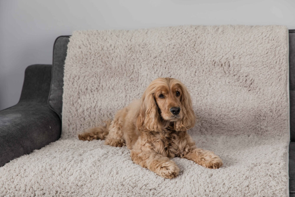 Legowisko uniwersalne PET REBELLION Comfy Cover Beżowy dopasowanie do wnętrza neutralny beżowy kolor kolorystyka