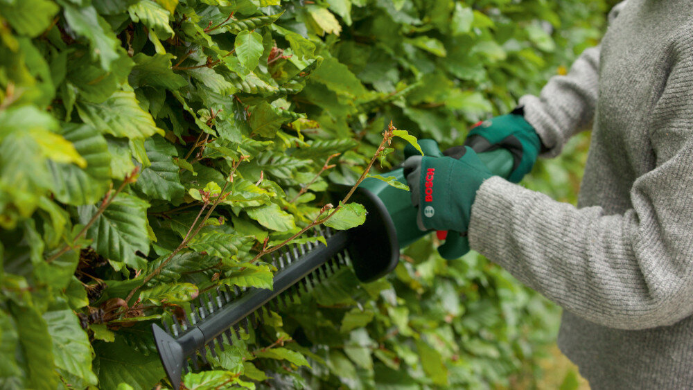 Nożyce do żywopłotu BOSCH Easy HedgeCut 18V-52-13 ogród osoba tnie żywopłoty trzymając nożyce w dłoniach efektywne cięcie żywopłotów szybkie cięcie zadbany ogród