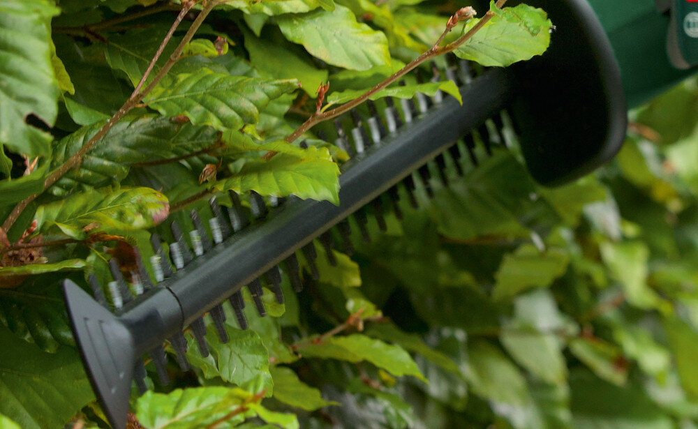 Nożyce do żywopłotu BOSCH Easy HedgeCut 18V-52-13 zbliżenie na ostrza w tle liście długość ostrza wynosi 52 cm odstępy między nożami 15 mm prędkość skokowa do 2400 min⁻¹ precyzyjne cięcie równomierny kształt żywopłotu listwa tnąca wykonana techniką laserową oszlifowana techniką diamentową