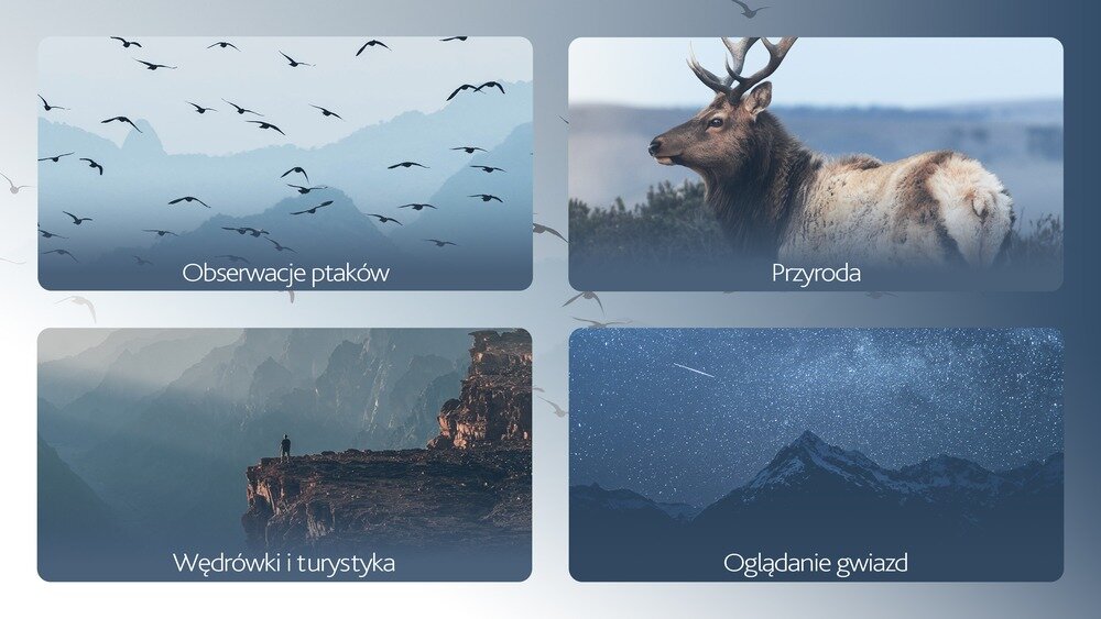 Lornetka LEVENHUK Discovery Gator 20x50 przykładowe zastosowania obserwacje przyrody   