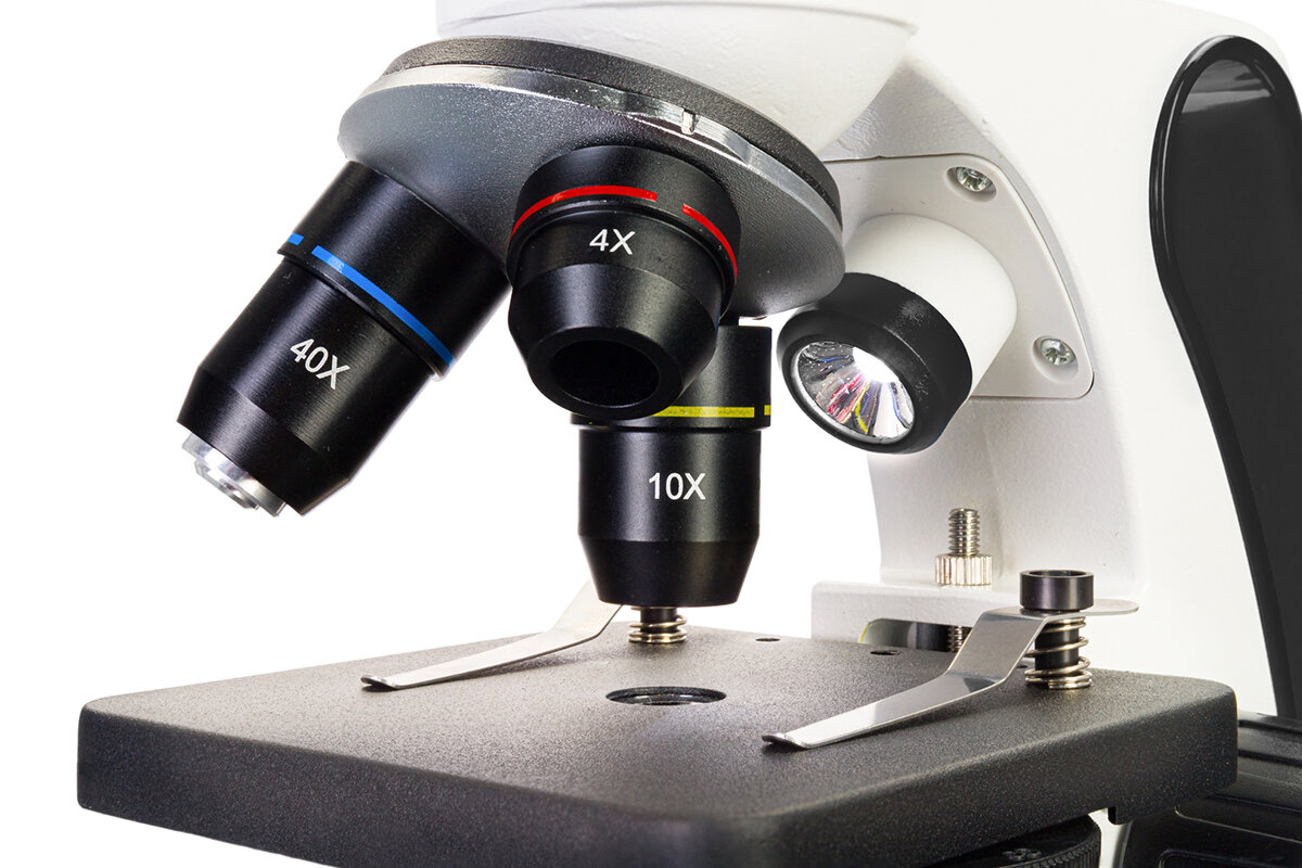 Mikroskop DISCOVERY Pico Polar edukacja mikroskop książka Niewidoczny Świat