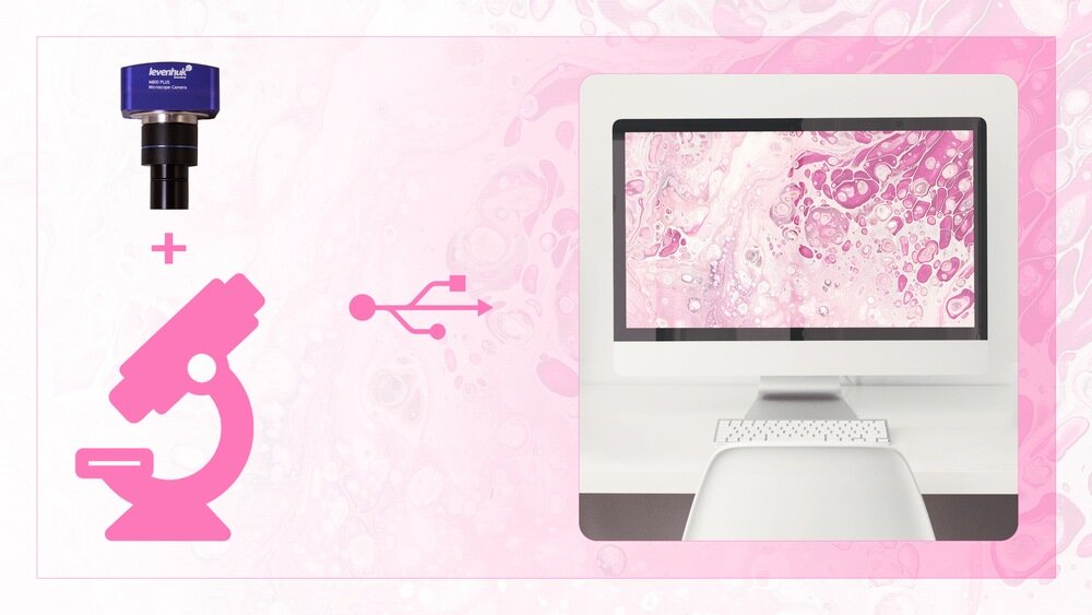 Aparat cyfrowy LEVENHUK M800 PLUS Windows, Linux i Mac OS montaż komputer 