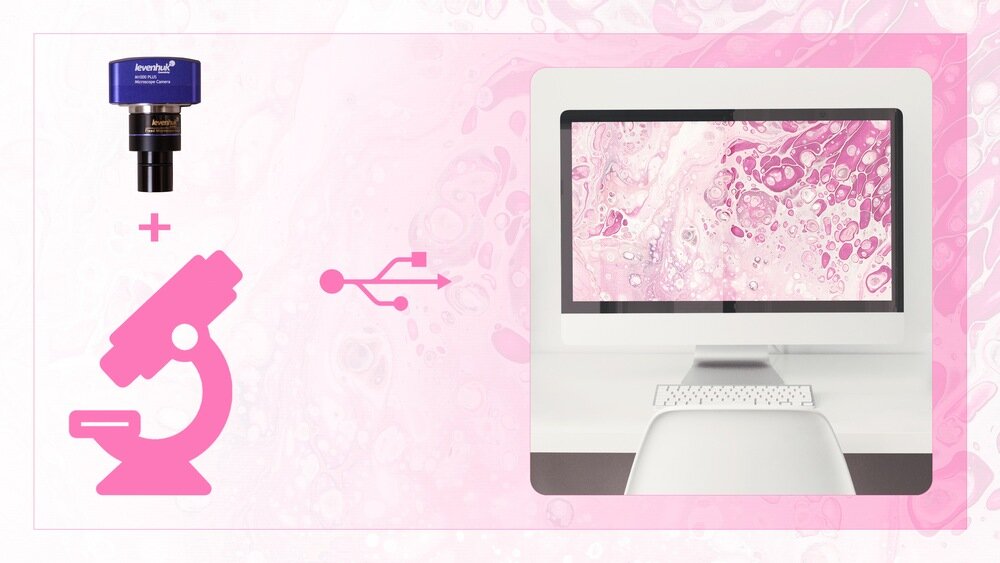 Aparat cyfrowy LEVENHUK M1000 PLUS Windows, Linux i Mac OS montaż komputer 