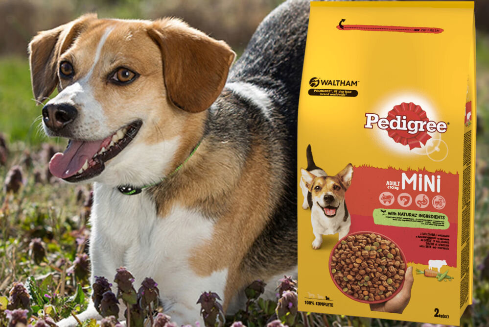 Karma dla psa PEDIGREE Wołowina 12 kg naturalne składniki